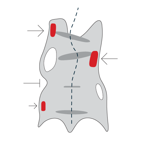 Brace library reference image 2