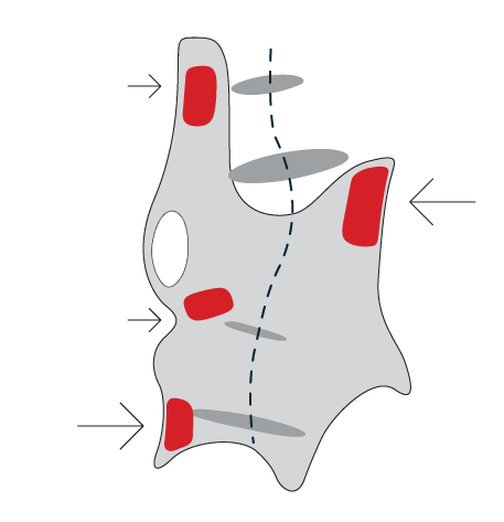 Brace library reference image 4